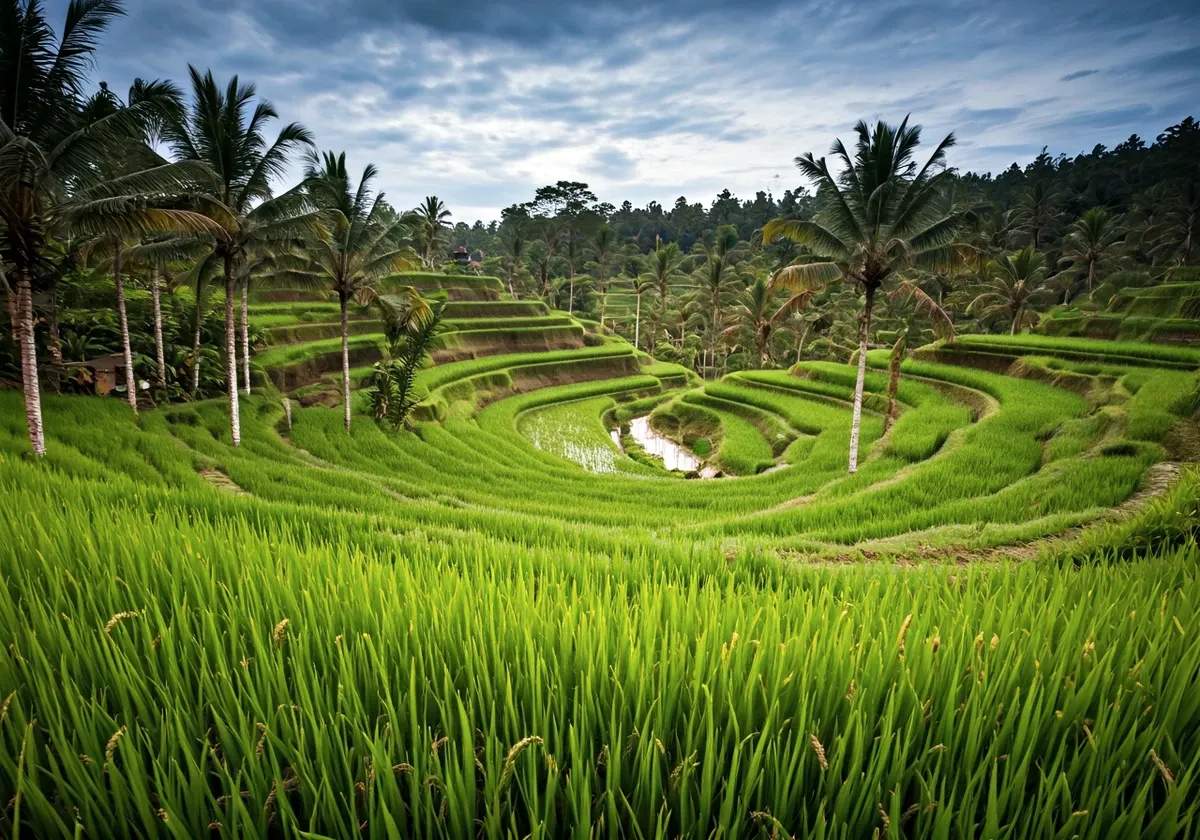 Indonesia